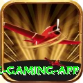 t20 Supreme Gaming App